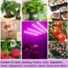 Grow Healthy Indoor Plants With LED Grow Lights - 10 Level Brightness, Auto ON/Off Timer, And 3 Switch Red/Blue Modes!