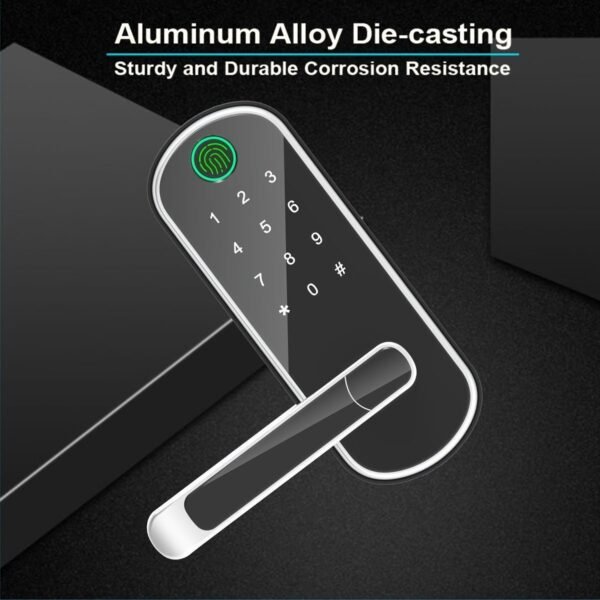 e427d3391f157e3af6cf1154df926d99.jpg Smart 5 In 1 Door Lock With Handle Biometric Technology Storage Memory Function